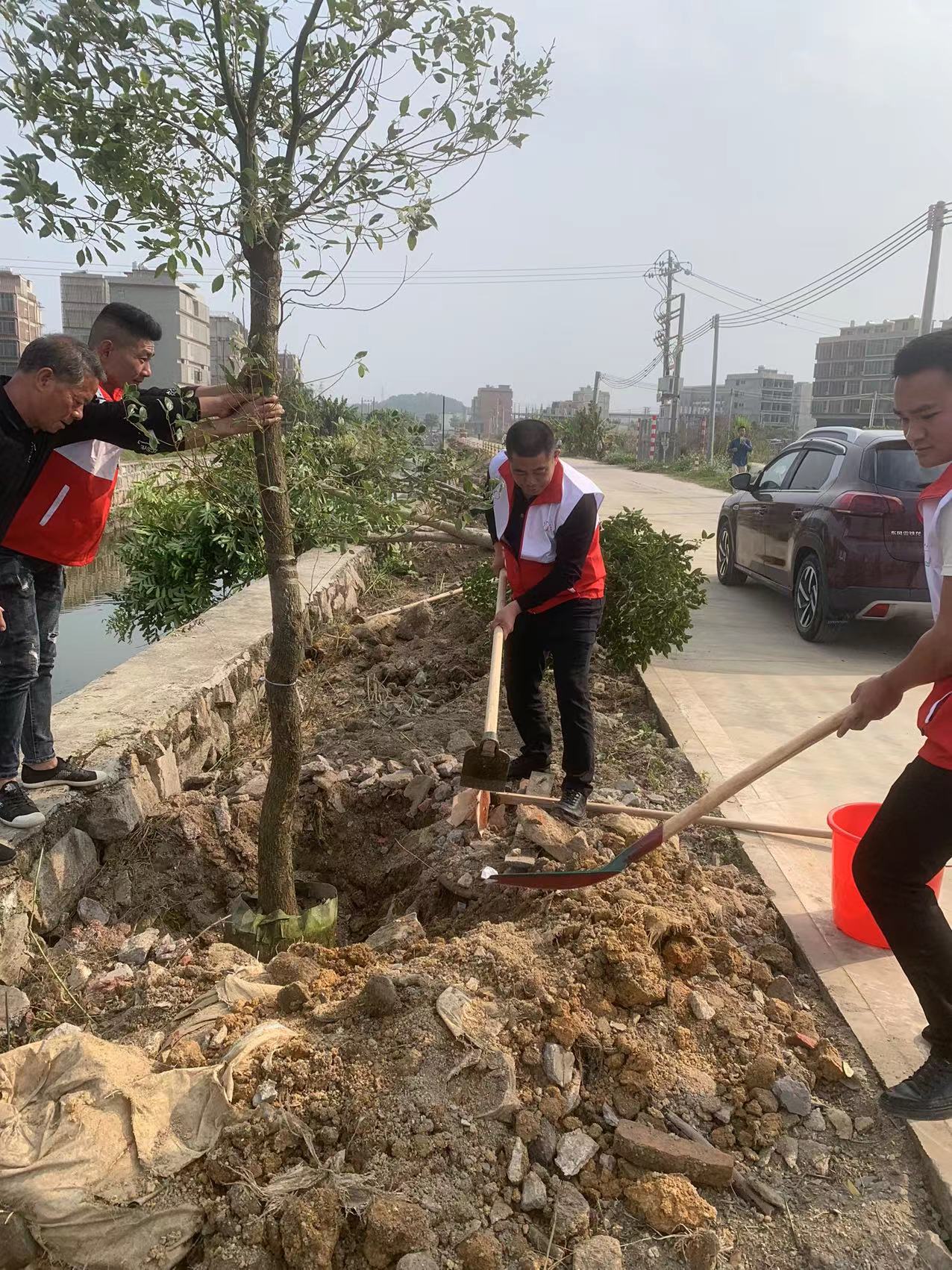 植树活动1.jpg