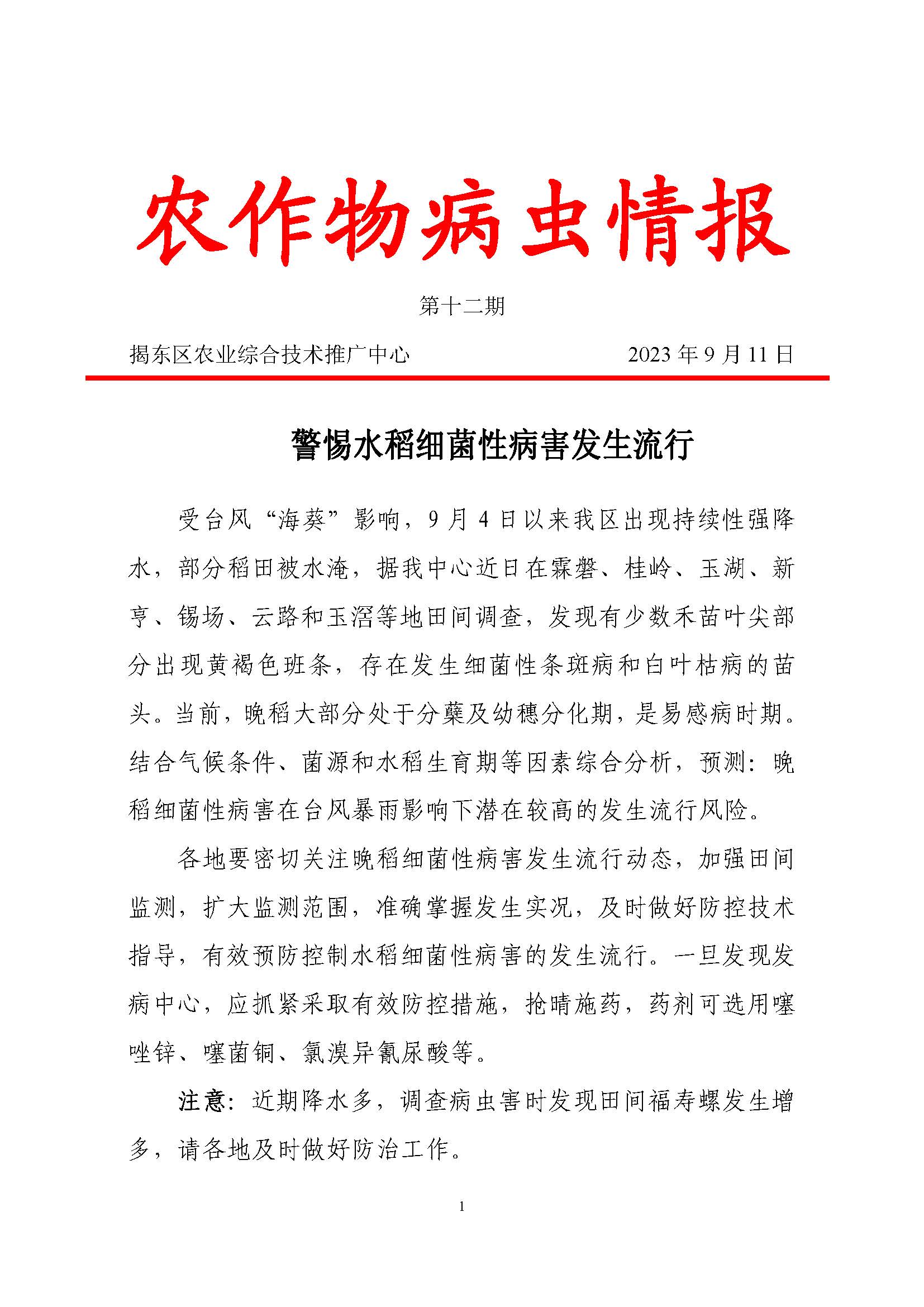 2023年第十二期：警惕水稻细菌性病害发生流行.jpg