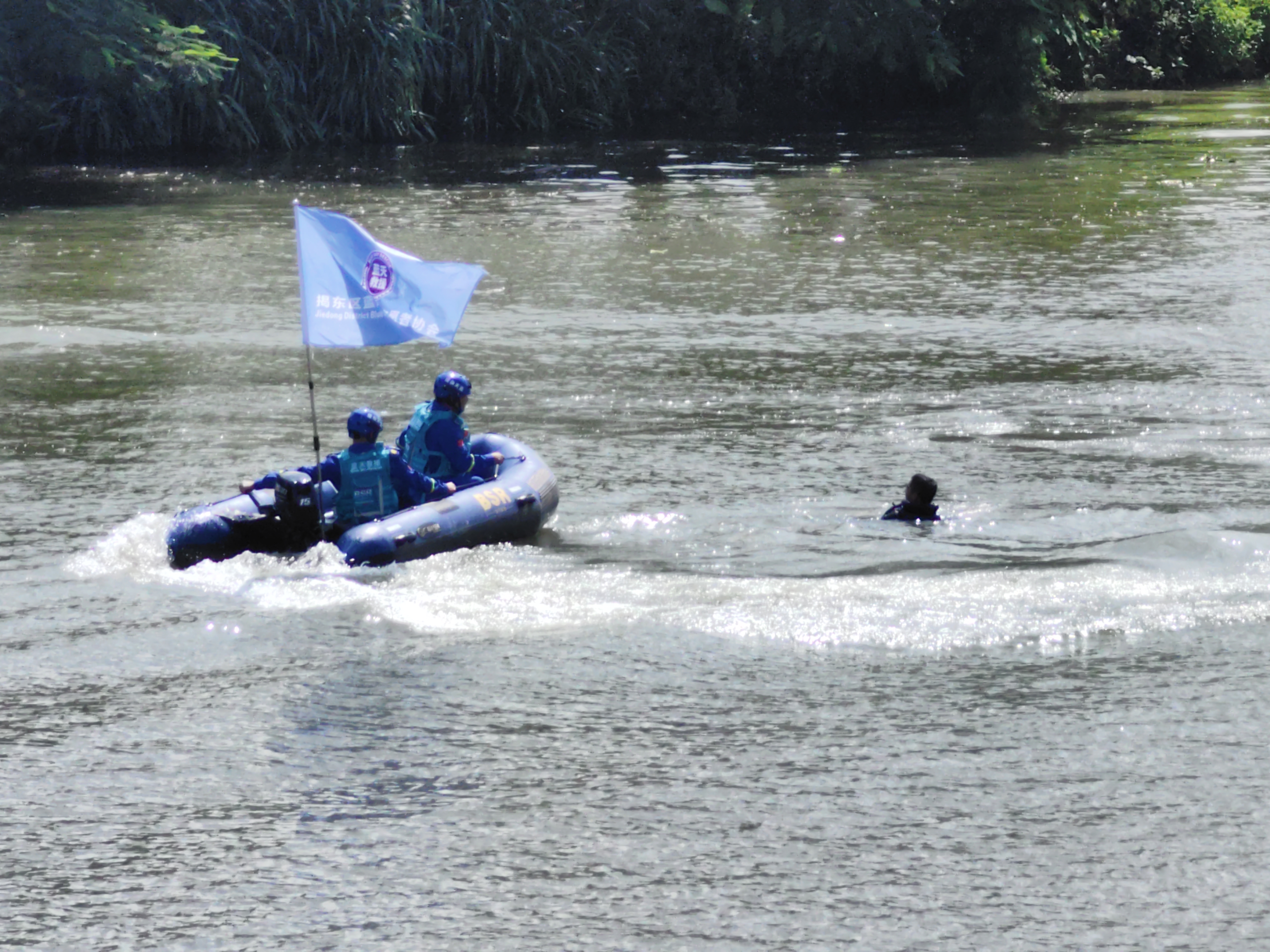 IMG_20240711_094256.jpg