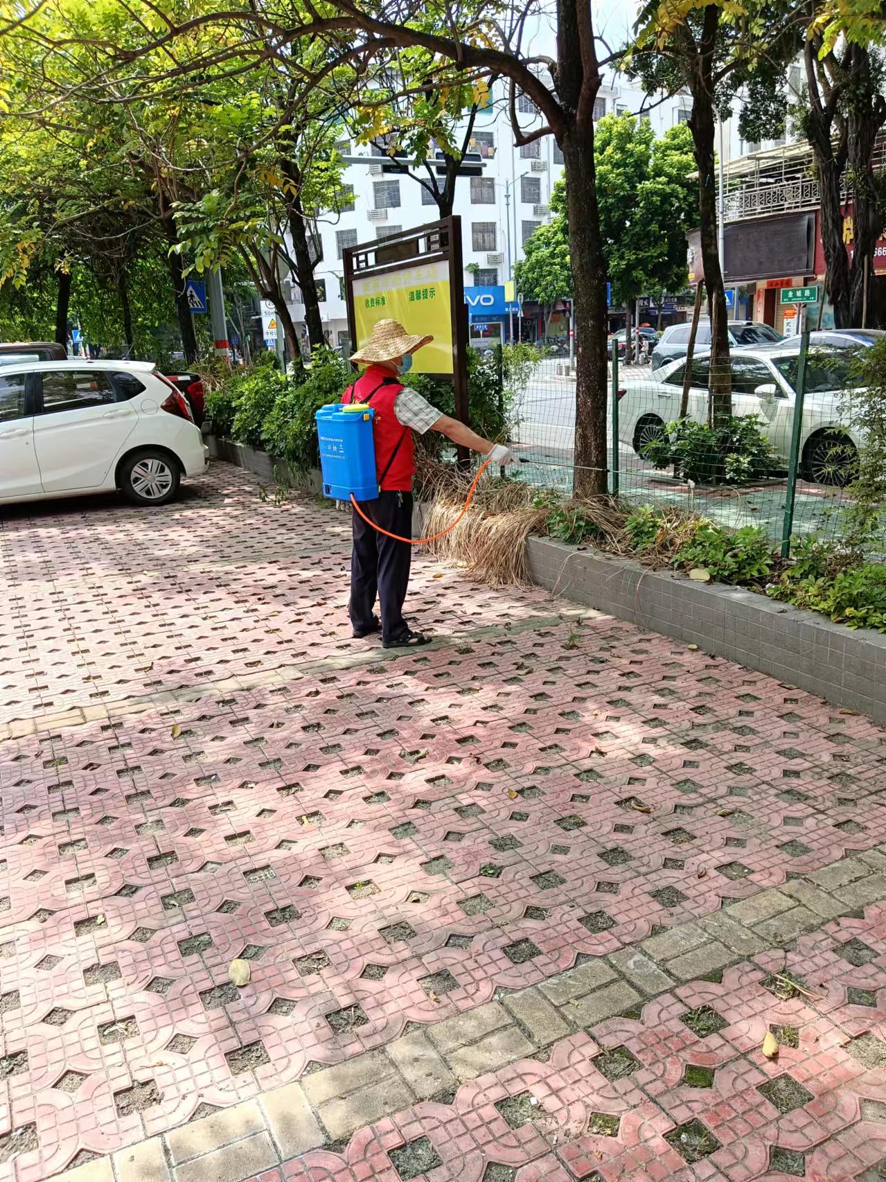 城西.jpg