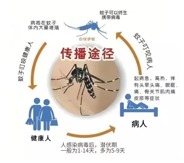 预防登革热2.jpg