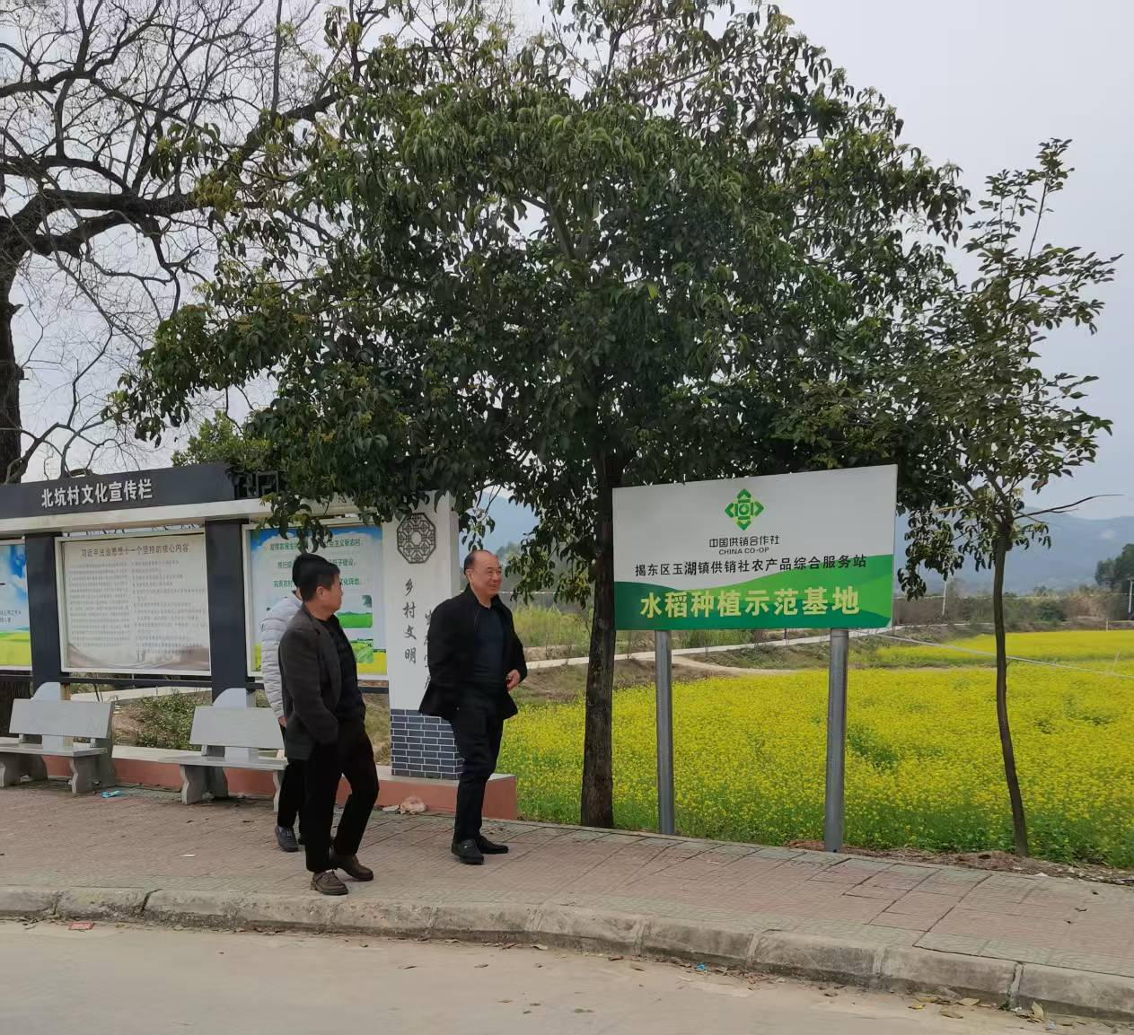 已编辑图片