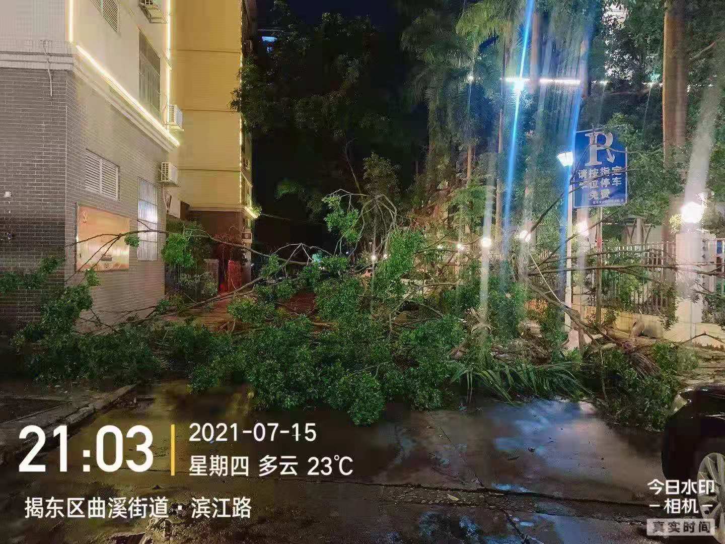 11111.jpg