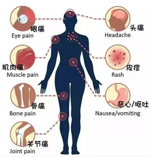 预防登革热3.jpg