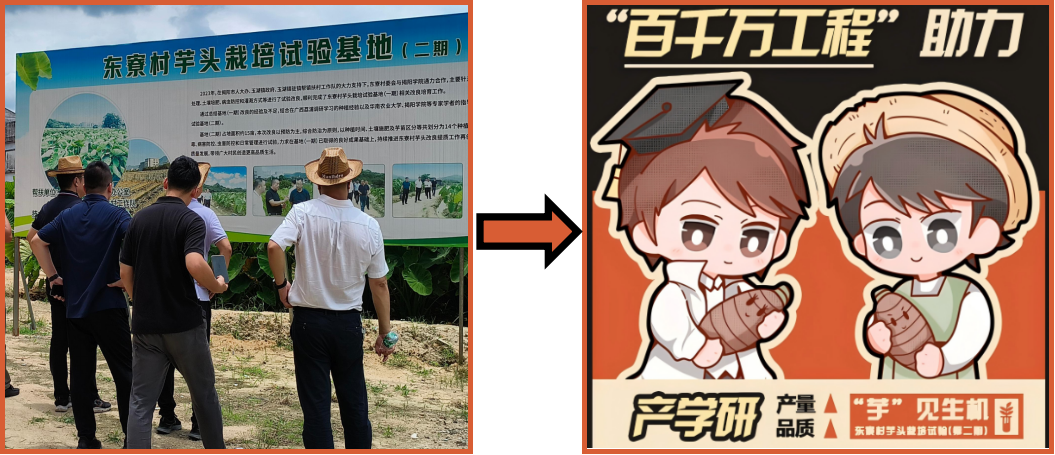 change东寮芋头.png