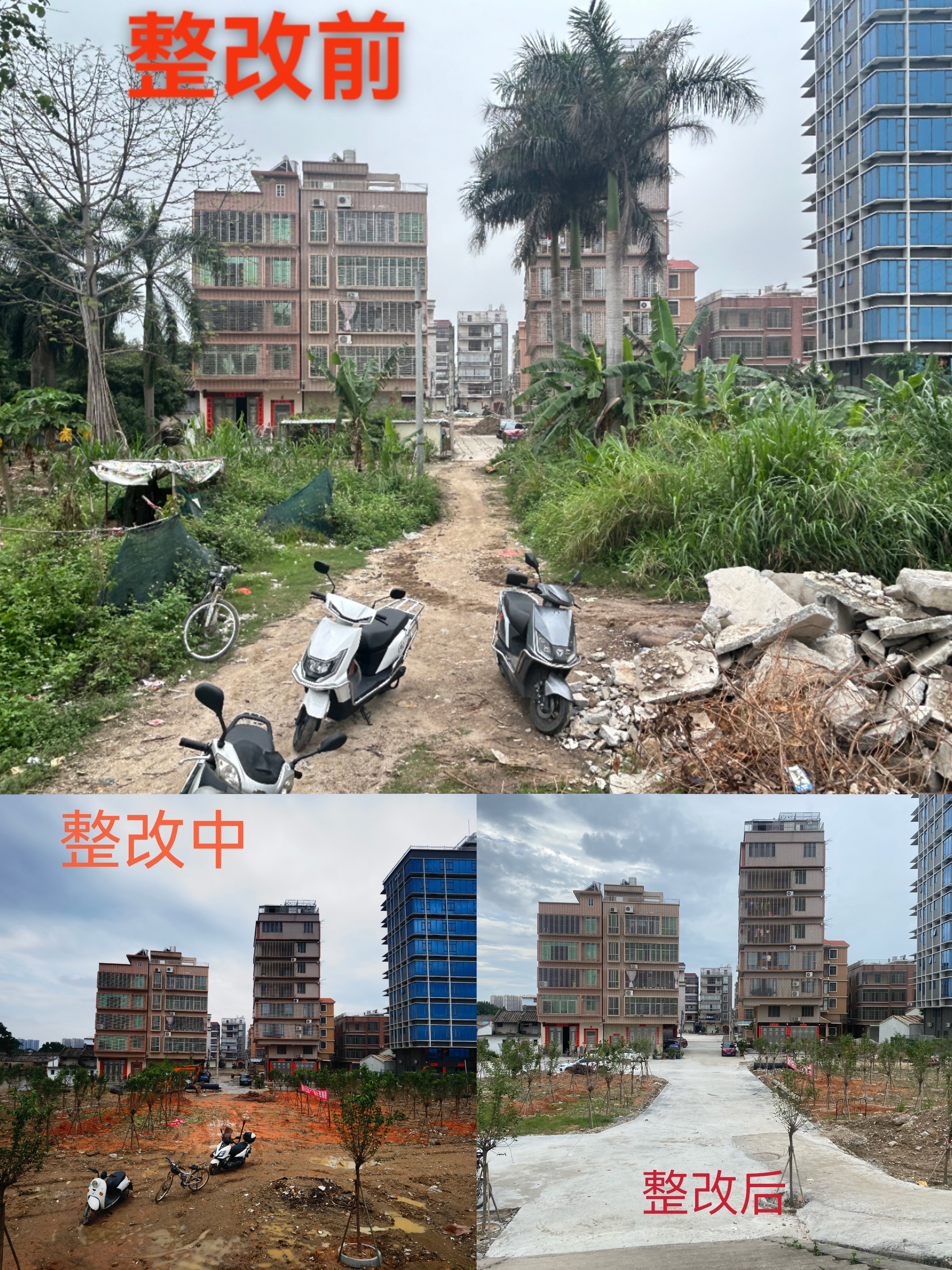 乔东村整改照片 3.jpg